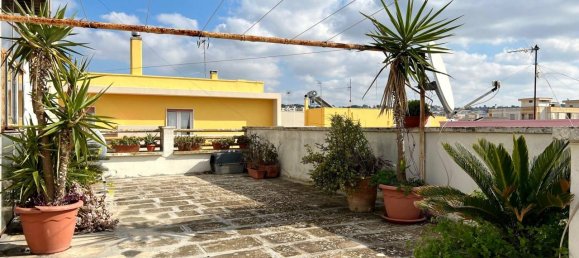 3 rooms Apartment in Parabita, Italy No. 232016 16