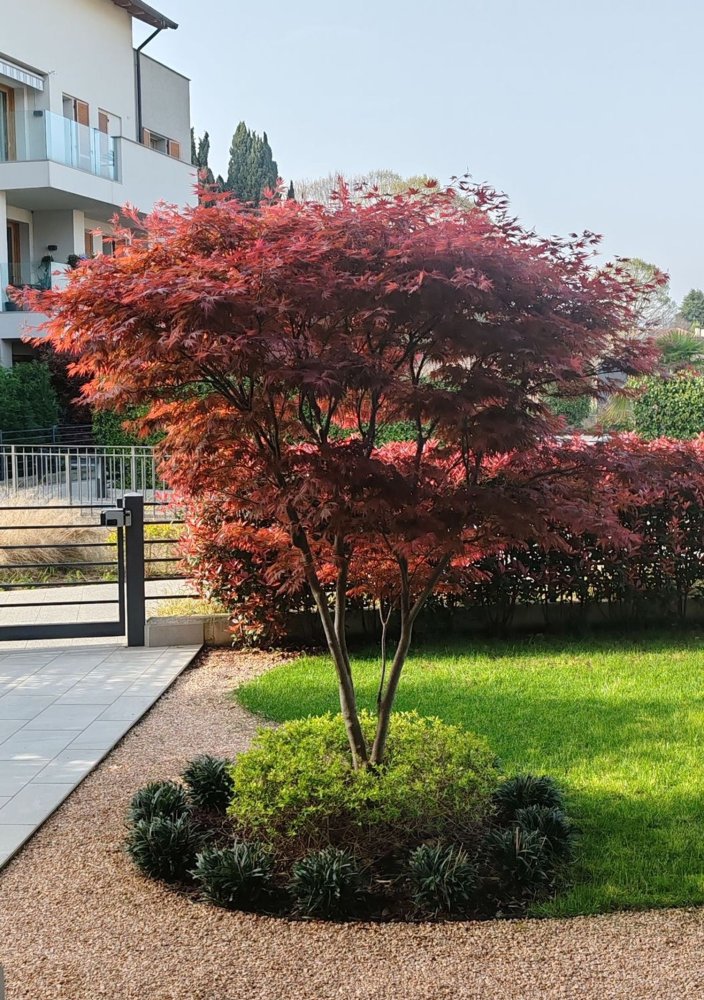 8 rooms House in Carnate, Italy No. 256057