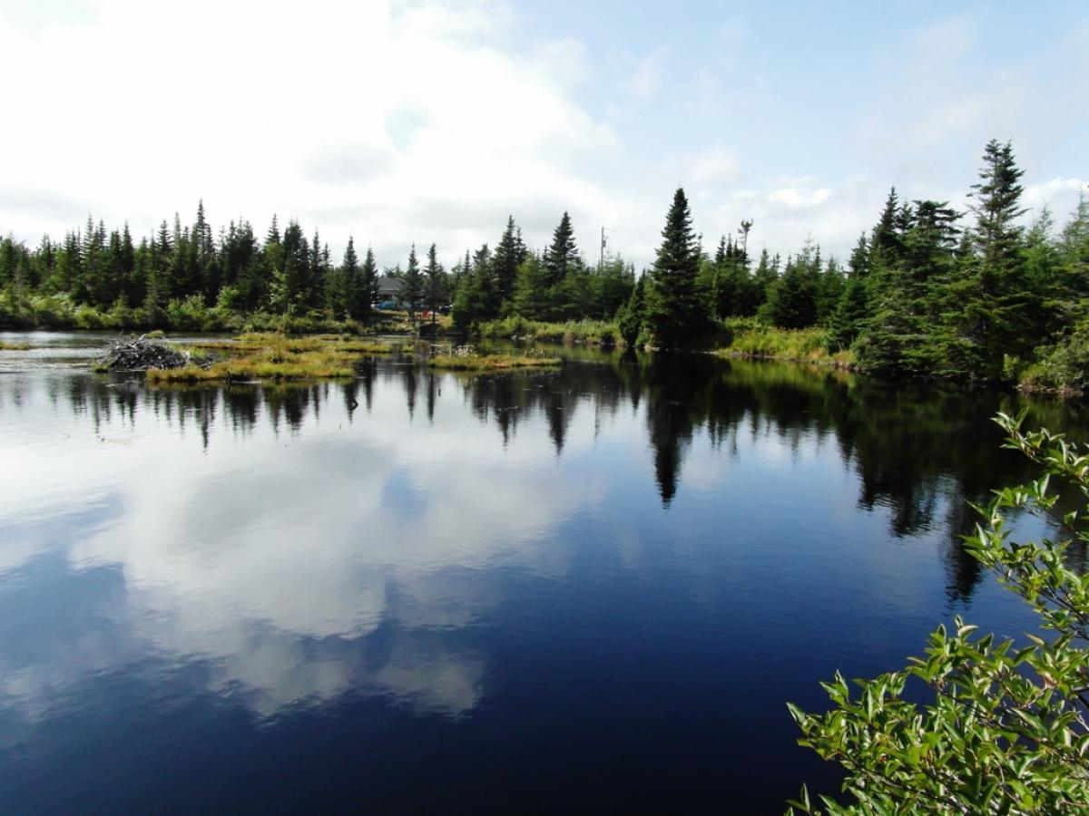 1 Schlafzimmer Grundstück in Halifax, Canada, Nr. 1414