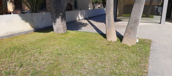 4 bedrooms House in Dehesa De Campoamor, Spain No. 33289 18