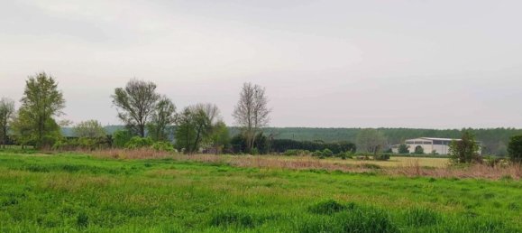 Земельный участок 7027м² в Веллеццо Беллини, Италия № 315029 30