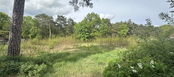 Terrain à Teltow-Flaming, Germany No. 62877 3