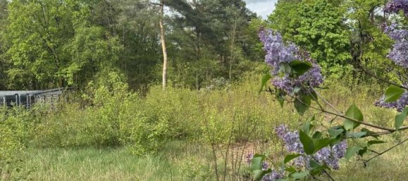 Terrain à Teltow-Flaming, Germany No. 62877 8