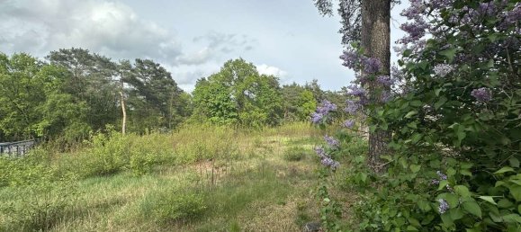 Terrain à Teltow-Flaming, Germany No. 62877 7