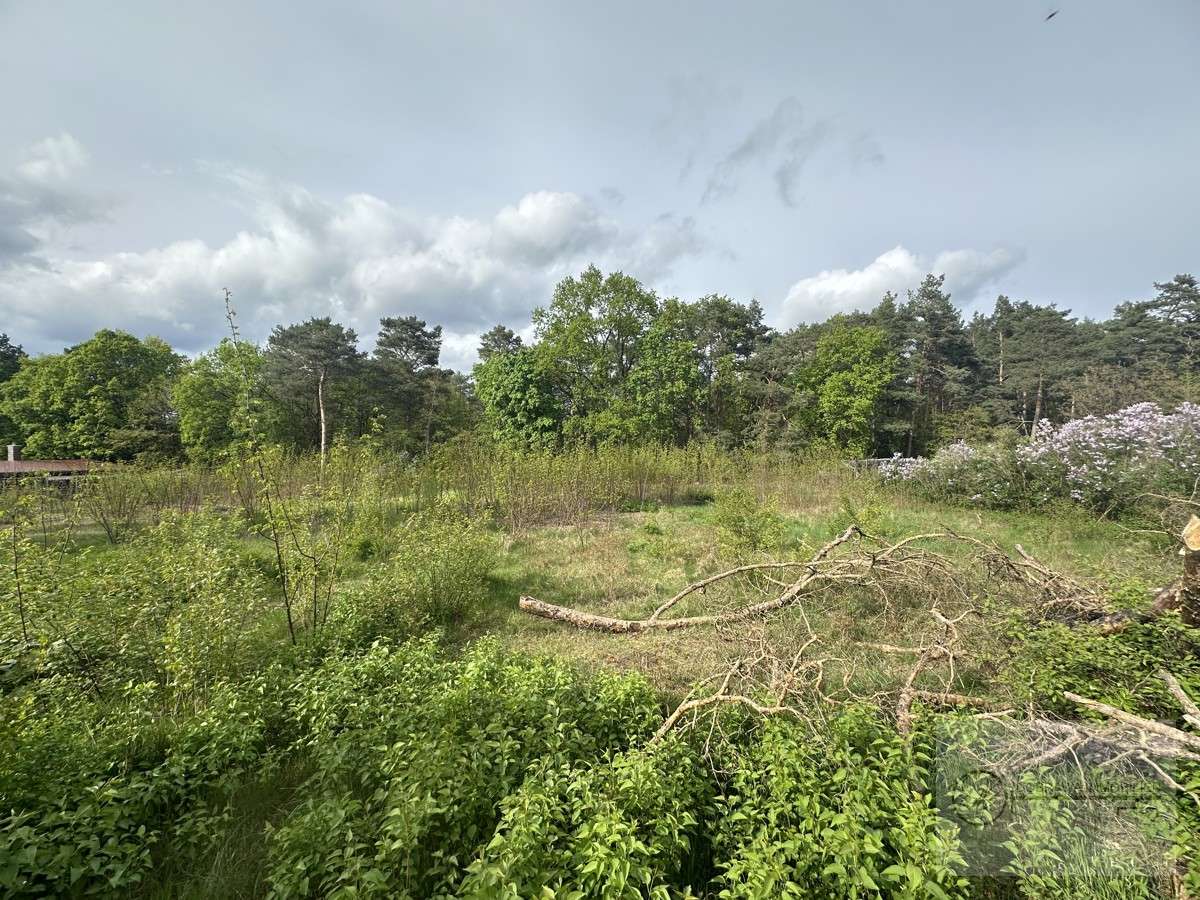 Terrain à Teltow-Flaming, Germany No. 62877