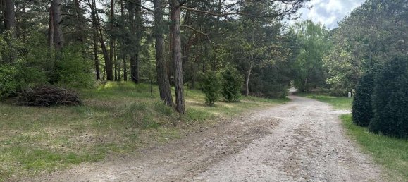 Terrain à Teltow-Flaming, Germany No. 62877 6