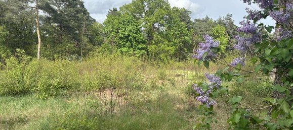 Terrain à Teltow-Flaming, Germany No. 62877 2