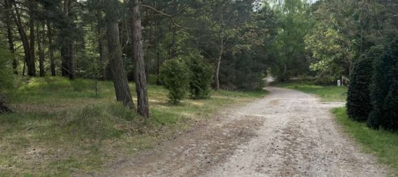 Terrain à Teltow-Flaming, Germany No. 62877 9