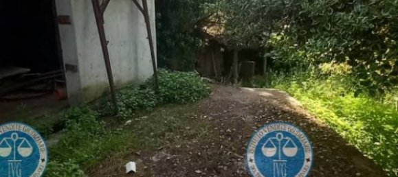 5 rooms Villa in Mazzano Romano, Italy No. 180032 27