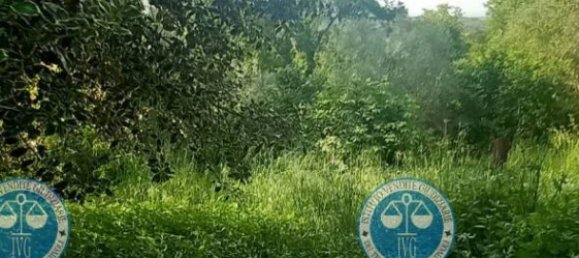 5 rooms Villa in Mazzano Romano, Italy No. 180032 25