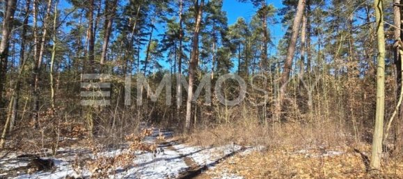  قطعة أرض في Potsdam-Mittelmark, Germany رقم 85276 2