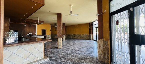 Propiedad comercial en Palmanova, Spain No. 16292 3