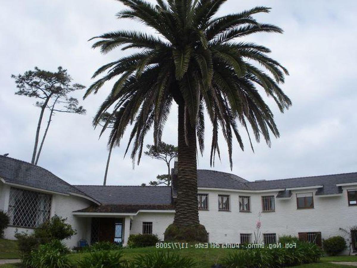 4 Schlafzimmer Haus in Maldonado, Uruguay, Nr. 10687