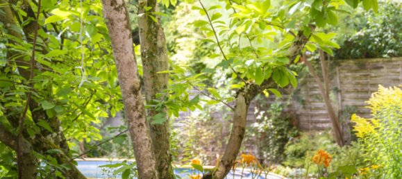 4 bedrooms House in Munich, Germany No. 256855 36