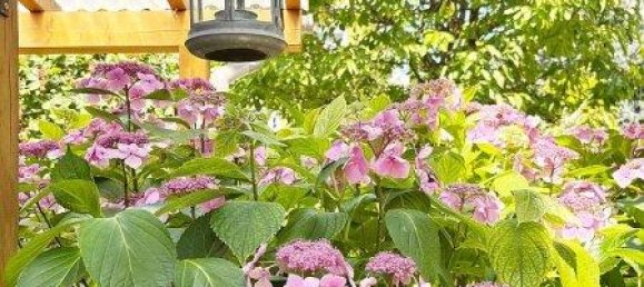 3غرفة منزل في Penzing, Austria رقم 200520 11