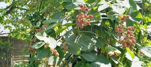 3غرفة منزل في Penzing, Austria رقم 200520 8