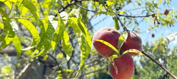 3غرفة منزل في Penzing, Austria رقم 200520 6