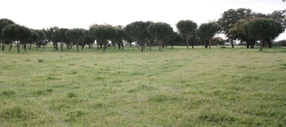 Grundstück in Palmela, Portugal 869460m², Nr. 268010 24