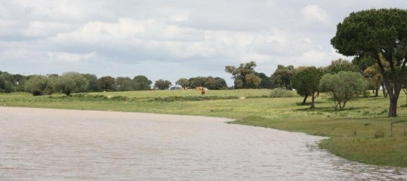 Grundstück in Palmela, Portugal 869460m², Nr. 268010 4