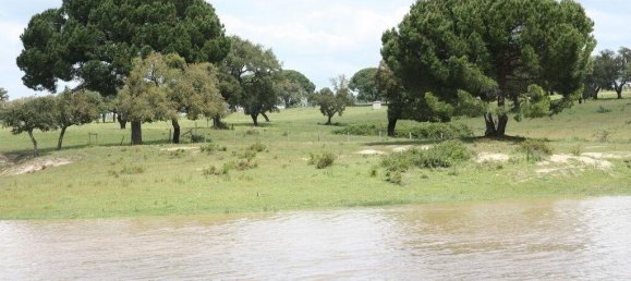 Grundstück in Palmela, Portugal 869460m², Nr. 268010 2