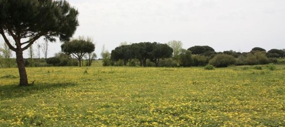 Grundstück in Palmela, Portugal 869460m², Nr. 268010 15