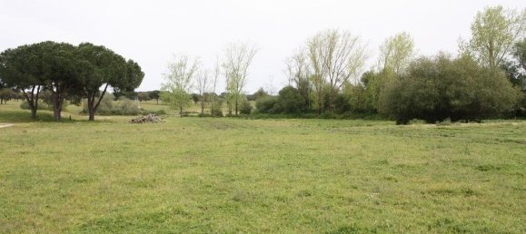 Grundstück in Palmela, Portugal 869460m², Nr. 268010 22