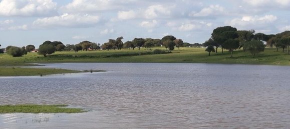 Grundstück in Palmela, Portugal 869460m², Nr. 268010 25