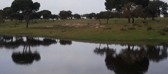 Grundstück in Palmela, Portugal 869460m², Nr. 268010 29