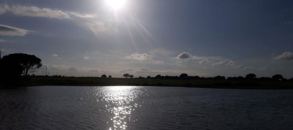 Grundstück in Palmela, Portugal 869460m², Nr. 268010 30