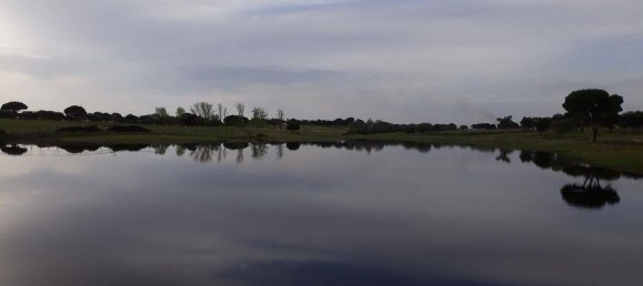 Grundstück in Palmela, Portugal 869460m², Nr. 268010 27