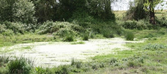 Grundstück in Palmela, Portugal 869460m², Nr. 268010 9