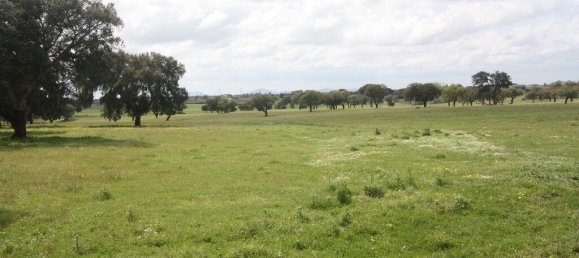 Grundstück in Palmela, Portugal 869460m², Nr. 268010 10