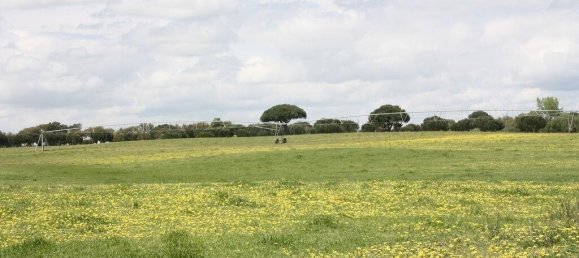 Grundstück in Palmela, Portugal 869460m², Nr. 268010 8