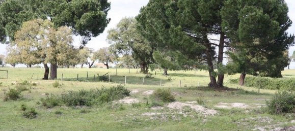 Grundstück in Palmela, Portugal 869460m², Nr. 268010 3