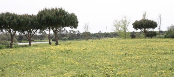 Grundstück in Palmela, Portugal 869460m², Nr. 268010 14