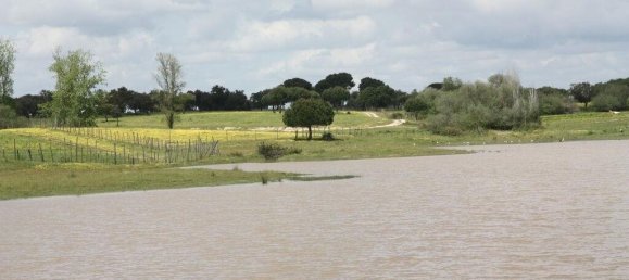 Grundstück in Palmela, Portugal 869460m², Nr. 268010 7