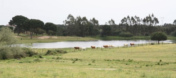 Grundstück in Palmela, Portugal 869460m², Nr. 268010 16
