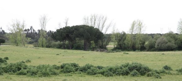 Grundstück in Palmela, Portugal 869460m², Nr. 268010 13