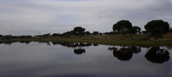 Grundstück in Palmela, Portugal 869460m², Nr. 268010 28