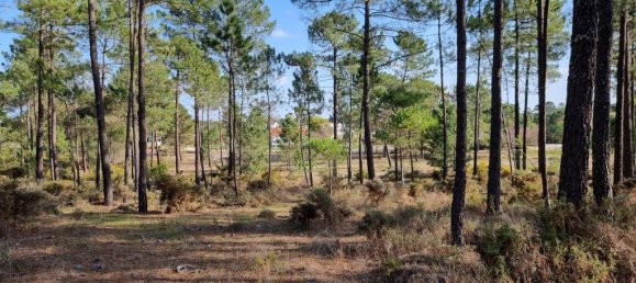 Grundstück in Alcacer do Sal, Portugal 987m², Nr. 275147 5