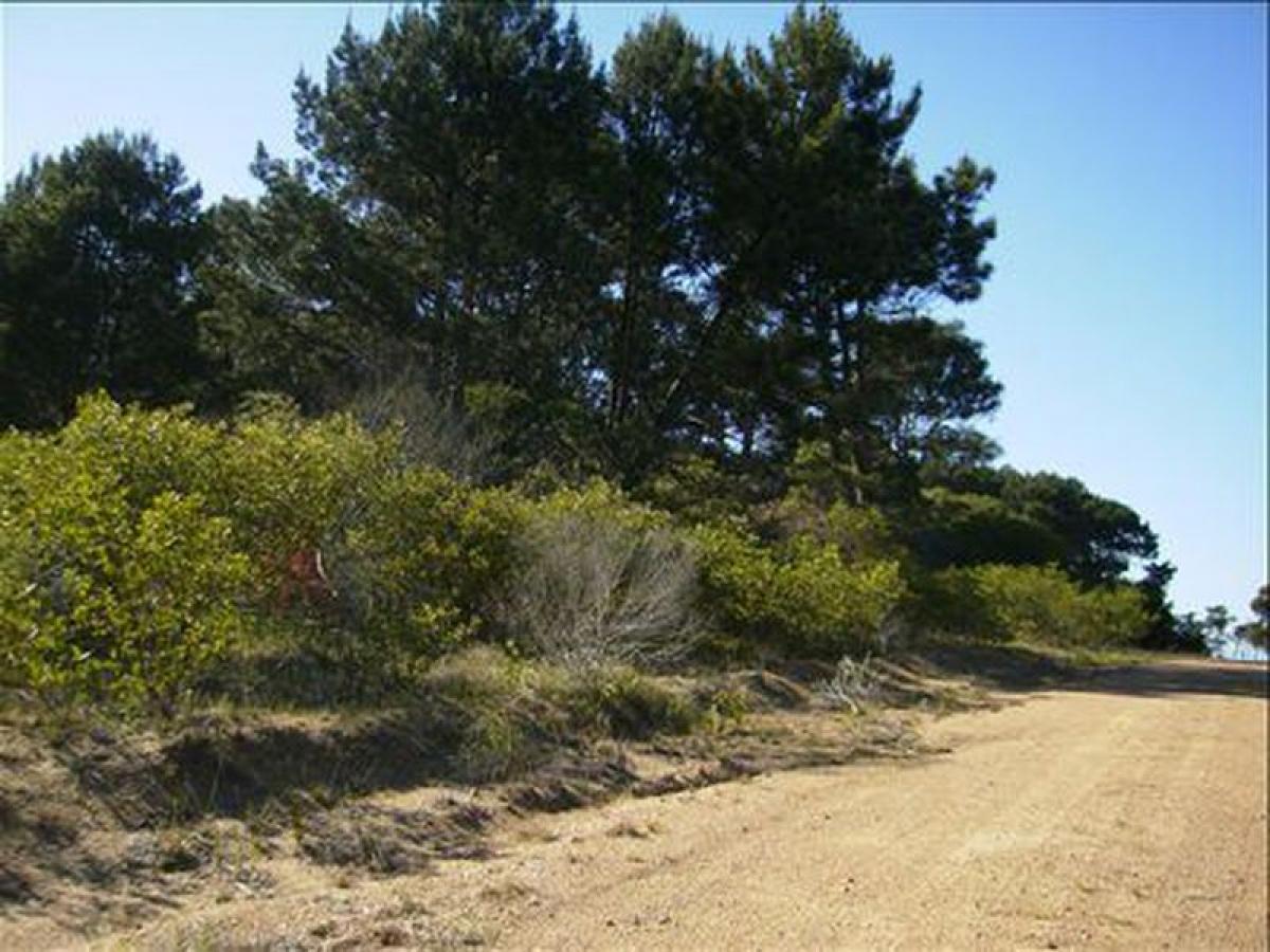  قطعة أرض في Maldonado, Uruguay رقم 14403