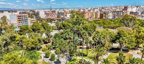 3 bedrooms Apartment in Torrevieja, Spain No. 145857 18