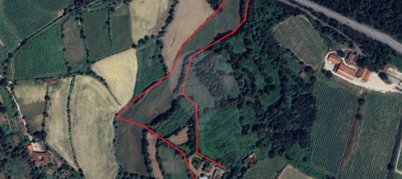 4 bedrooms House in Faia, Portugal No. 38536 3