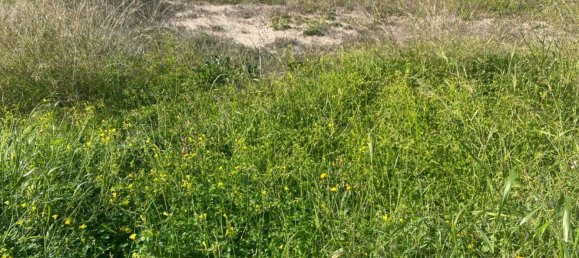  Land in Alicante, Spain No. 97640 28