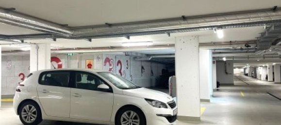 Дуплекс с 4 комнатами в Целль ам Зе, Австрия № 228458 25