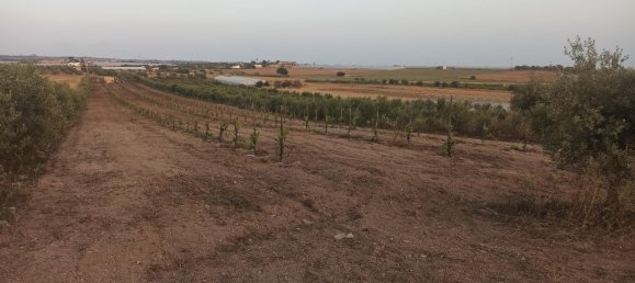 Grundstück in Noto, Italy 35000m², Nr. 59877 3