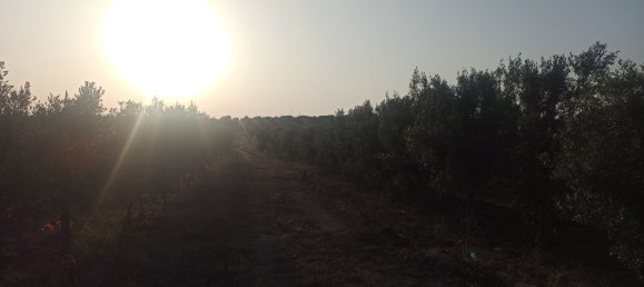 Grundstück in Noto, Italy 35000m², Nr. 59877 17