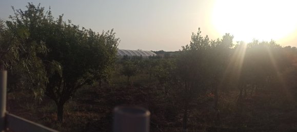 Grundstück in Noto, Italy 35000m², Nr. 59877 16