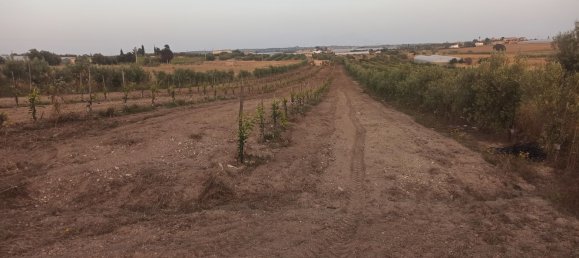 Grundstück in Noto, Italy 35000m², Nr. 59877 9