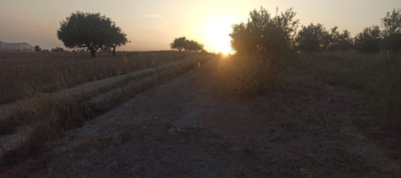 Grundstück in Noto, Italy 35000m², Nr. 59877 10